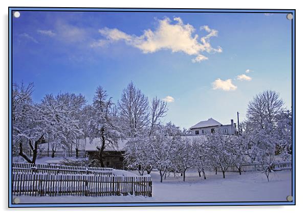 Winter Rime Acrylic by Ciobanu Razvan