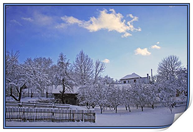 Winter Rime Print by Ciobanu Razvan