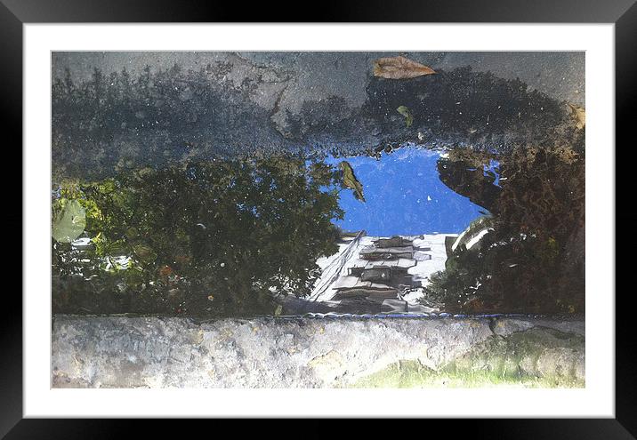Reflections of Argentina Framed Mounted Print by Tony Dimech