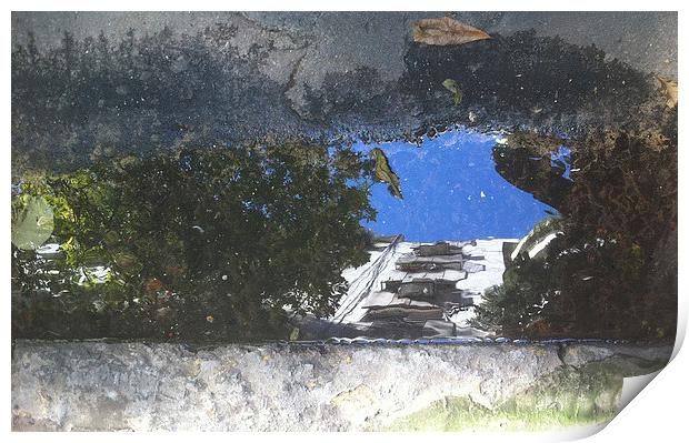 Reflections of Argentina Print by Tony Dimech
