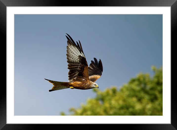 Kite Flight Framed Mounted Print by Val Saxby LRPS