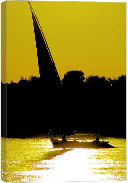 Sunset sailing Canvas Print by Brian  Raggatt