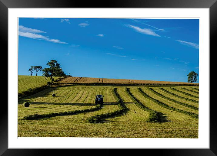 Harvest Landscape Framed Mounted Print by John Hastings