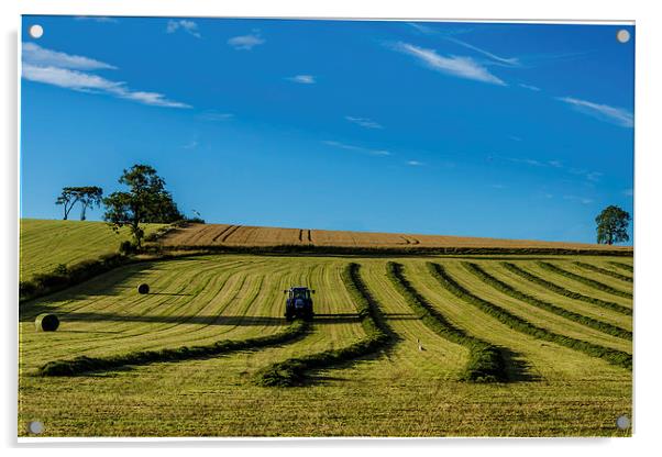 Harvest Landscape Acrylic by John Hastings