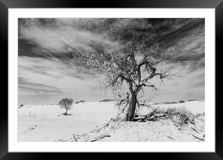 White Sands National Monument #1, mono(light) Framed Mounted Print by Gareth Burge Photography