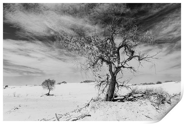 White Sands National Monument #1, mono(light) Print by Gareth Burge Photography