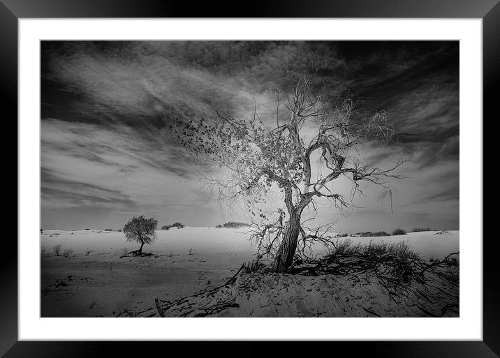 White Sands National Monument #1, mono(dark) Framed Mounted Print by Gareth Burge Photography