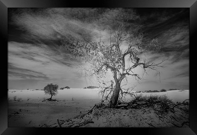 White Sands National Monument #1, mono(dark) Framed Print by Gareth Burge Photography