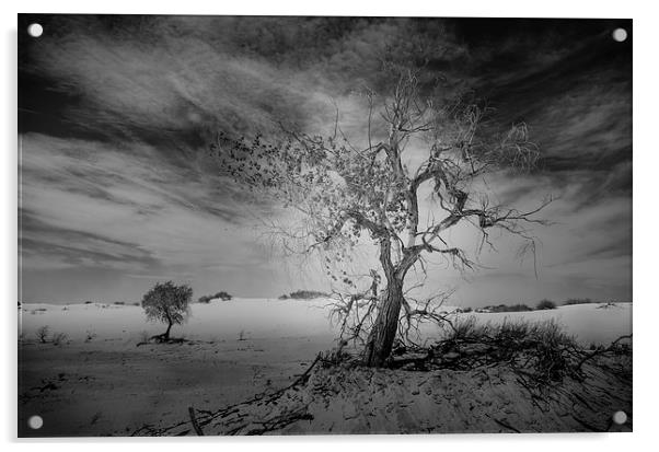 White Sands National Monument #1, mono(dark) Acrylic by Gareth Burge Photography