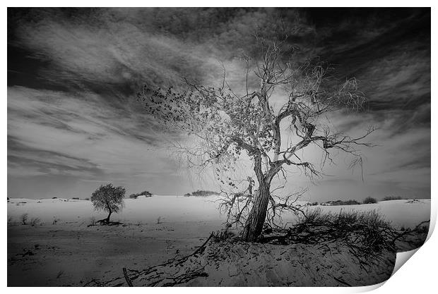 White Sands National Monument #1, mono(dark) Print by Gareth Burge Photography
