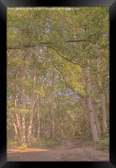 woodland walk Framed Print by paul neville
