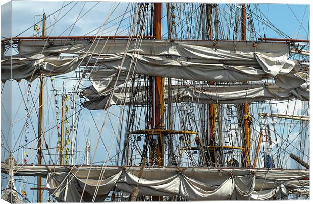 Navigating the High Seas Canvas Print by John Hastings