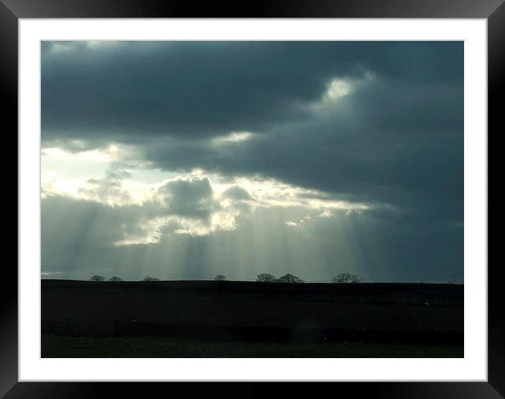 Ray Of Light Framed Mounted Print by Susan Mundell