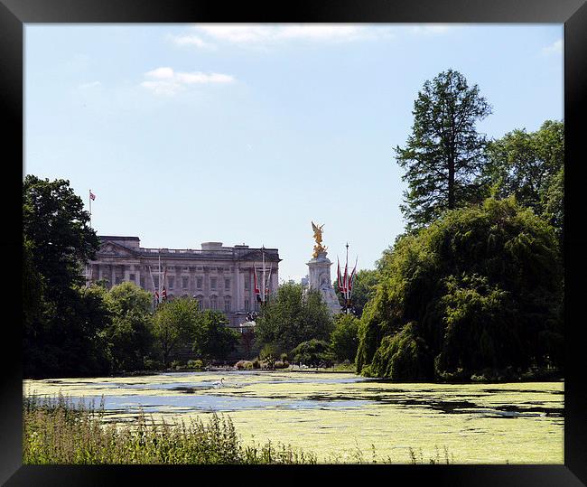 St Jamess Park Framed Print by Susan Mundell