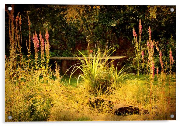 small corner of the garden Acrylic by Dawn Cox