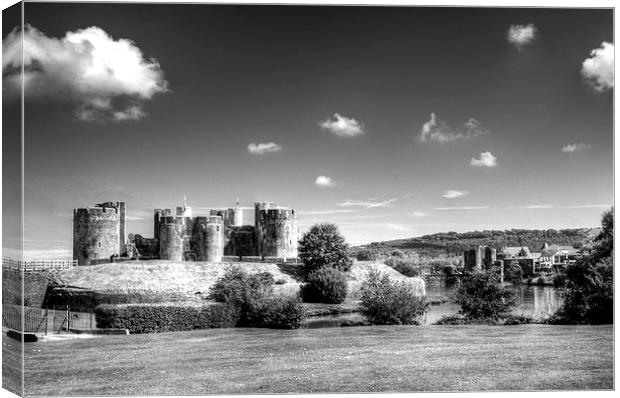 Caerphilly Castle 4 Mono Canvas Print by Steve Purnell