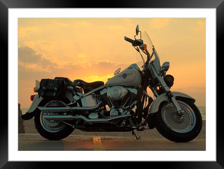 Harley Sunset Framed Mounted Print by David Brooks