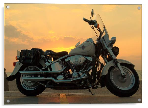Harley Sunset Acrylic by David Brooks