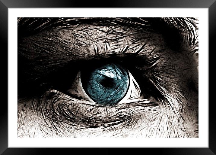 blue eyed Framed Mounted Print by Silvio Schoisswohl
