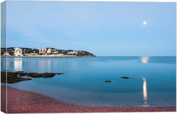 View of Torquay Canvas Print by Diane Griffiths