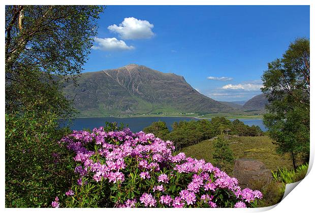 View of Torridon Print by David Wilson