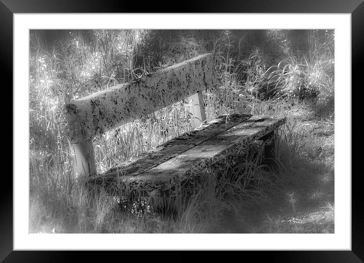 Forgotten Bench Framed Mounted Print by Gareth Burge Photography