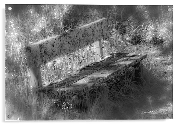 Forgotten Bench Acrylic by Gareth Burge Photography