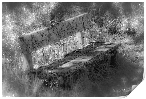 Forgotten Bench Print by Gareth Burge Photography