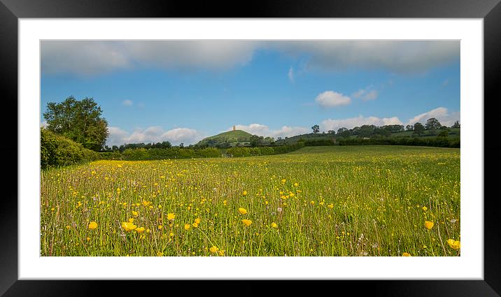 Buttercups At Glastonbury Framed Mounted Print by Roger Byng
