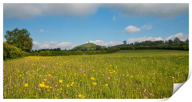 Buttercups At Glastonbury Print by Roger Byng