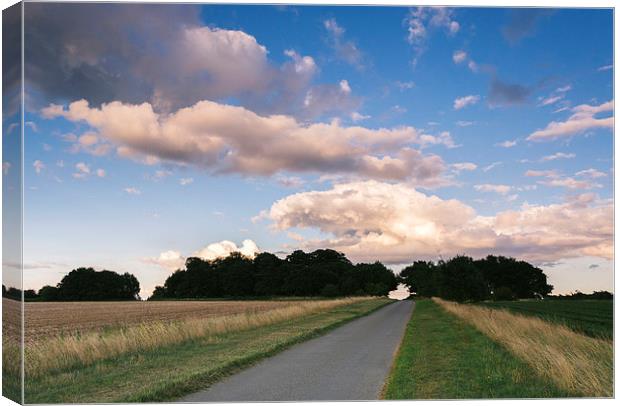 Evening light over remote country road. Canvas Print by Liam Grant
