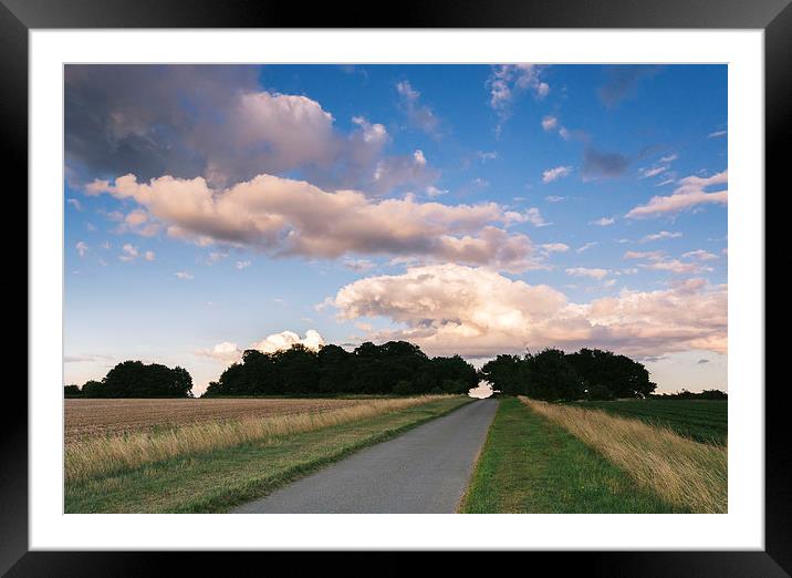 Evening light over remote country road. Framed Mounted Print by Liam Grant