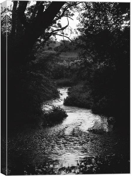 Light on meandering river. Canvas Print by Liam Grant