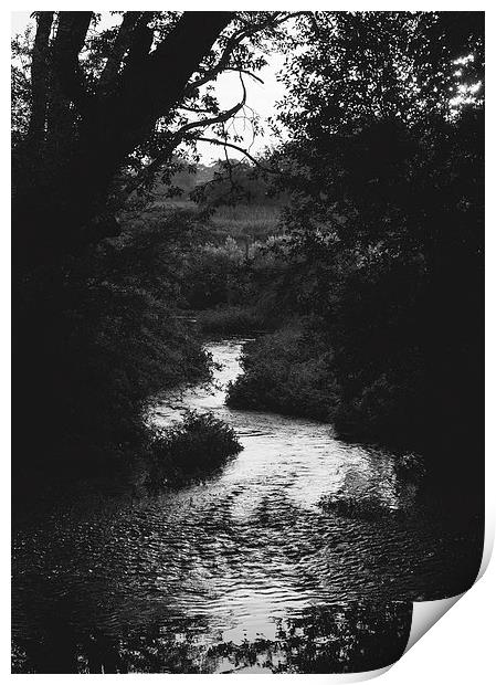 Light on meandering river. Print by Liam Grant
