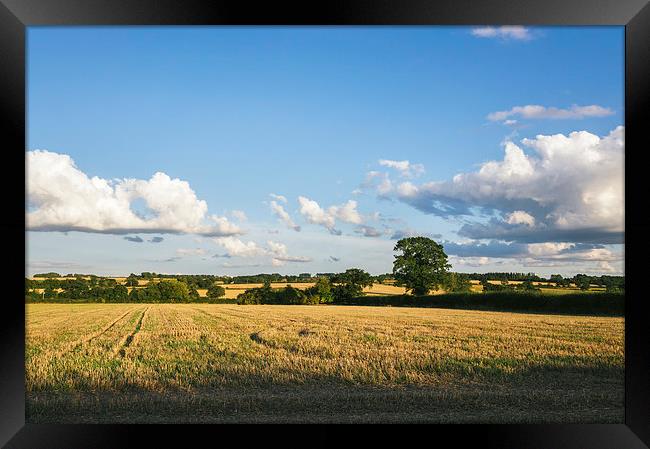 Evening light over rural countryside. Framed Print by Liam Grant