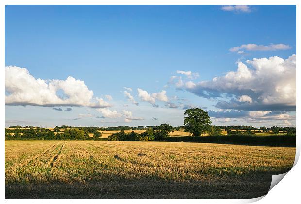 Evening light over rural countryside. Print by Liam Grant