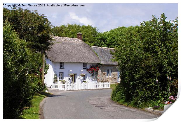 Cornish Thatched Cottage Print by Terri Waters