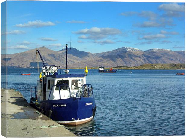 Ferry to Isle of Lismore Canvas Print by David Wilson