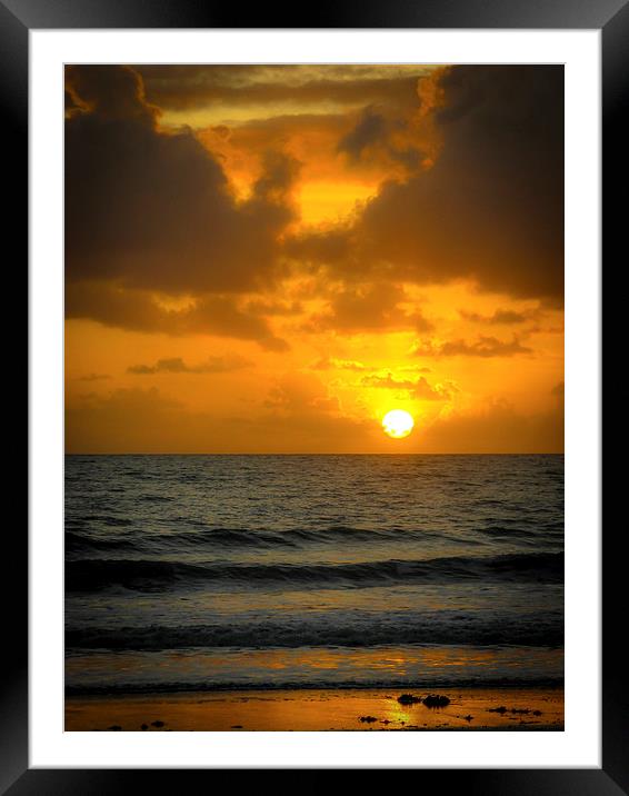 Sunrise in Queensland Framed Mounted Print by Rona Arkley