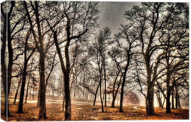 Winter Fog, Golden Russet Canvas Print by Mayo Fottral