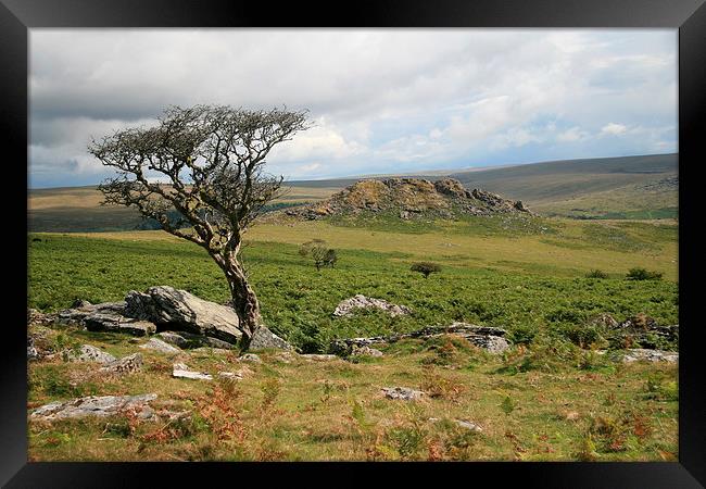 Dartmoor View Framed Print by John Piper