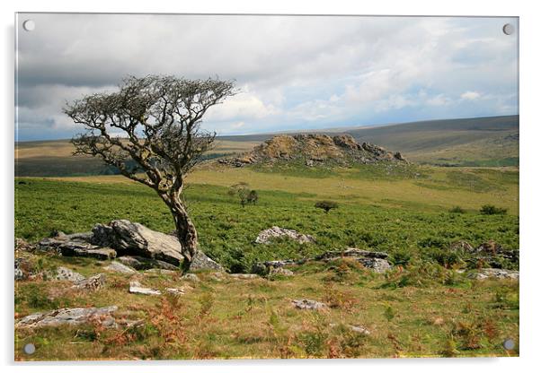 Dartmoor View Acrylic by John Piper