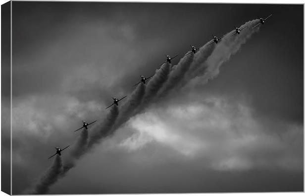 Line Abreast Canvas Print by Gareth Burge Photography