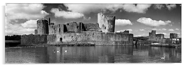 Caerphilly Castle Panorama Monochrome Acrylic by Steve Purnell
