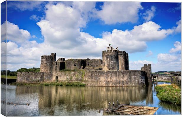 Caerphilly Castle 5 Canvas Print by Steve Purnell