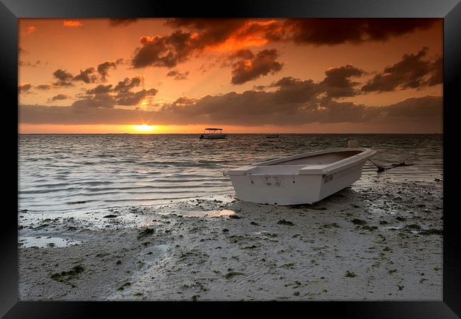 Mauritian Sunrise Framed Print by Neal P
