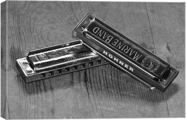 Harmonica Harmony Canvas Print by Phil Emmerson