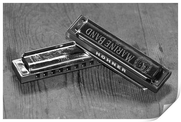 Harmonica Harmony Print by Phil Emmerson