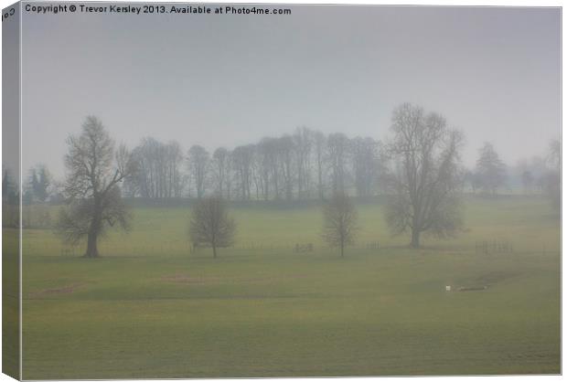 Foggy Morning Canvas Print by Trevor Kersley RIP