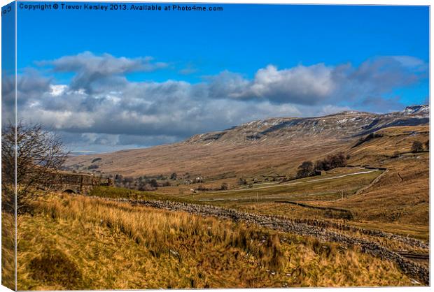 Mallerstang Common Canvas Print by Trevor Kersley RIP